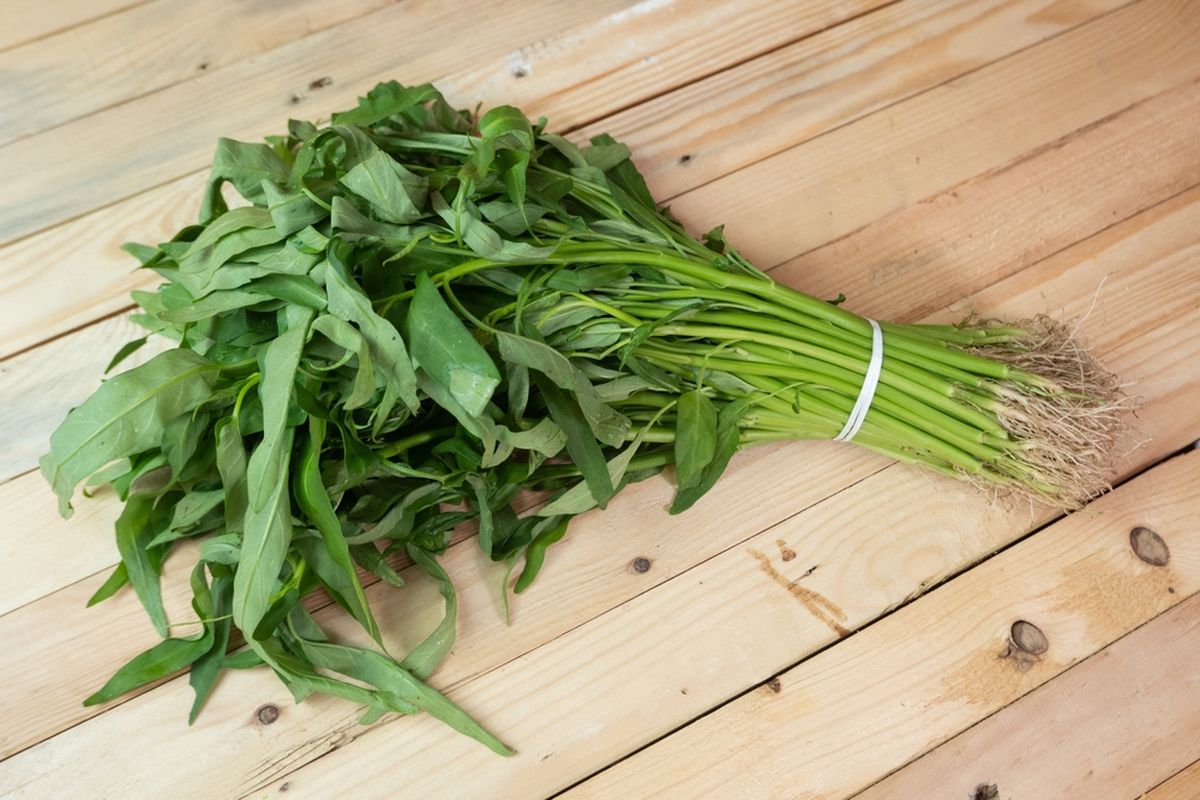 Kangkung